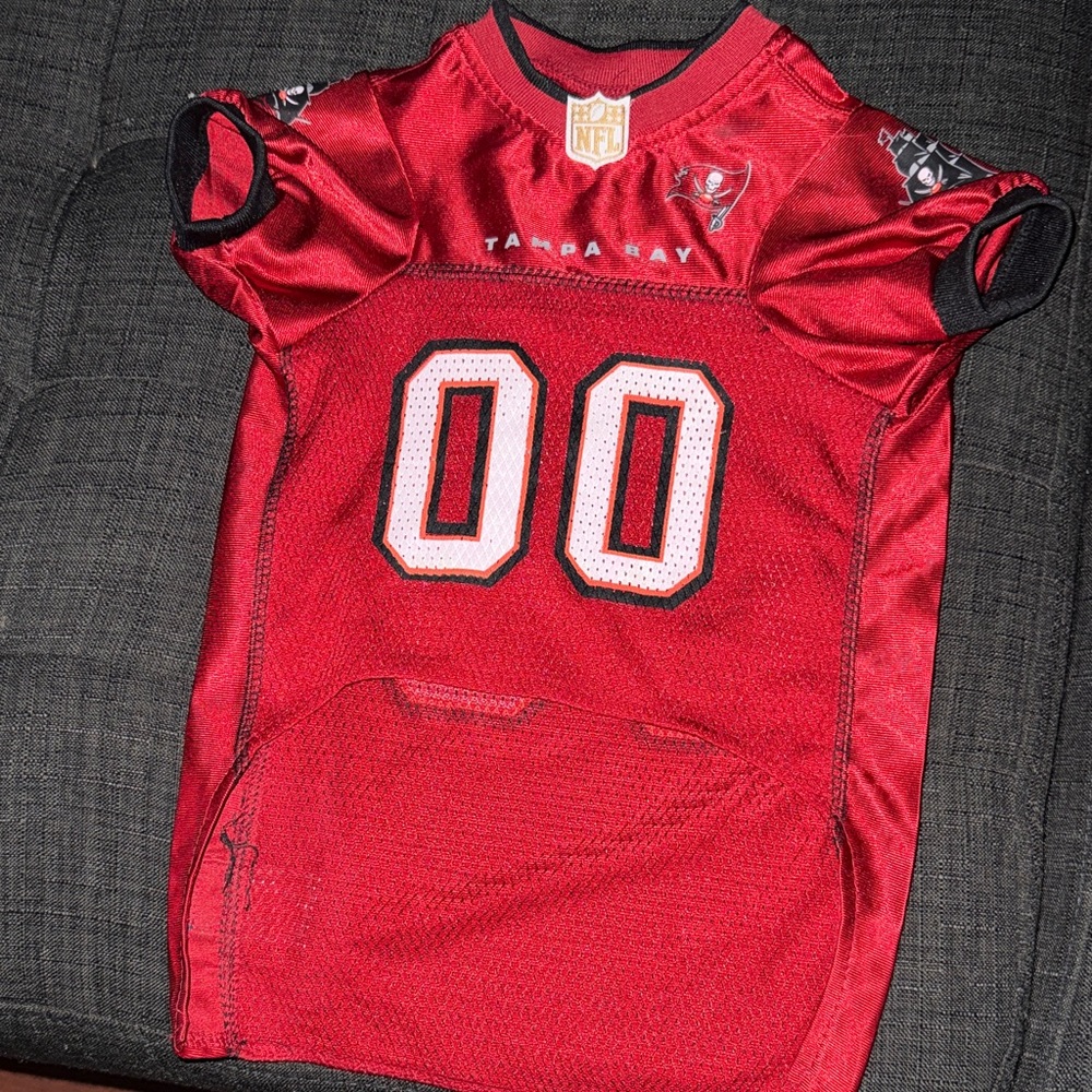 Tampa Bay Dog/pet Jersey